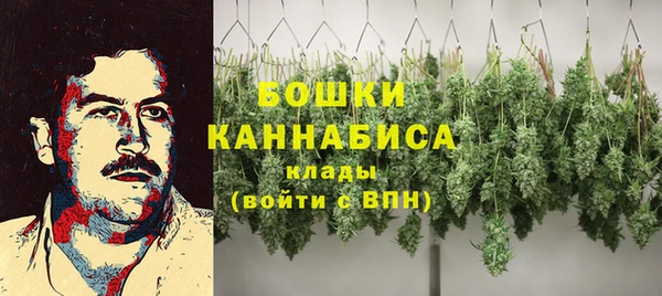 СК Верея