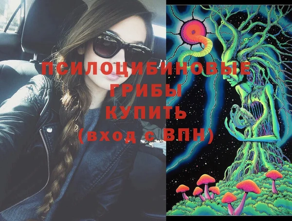 Альфа ПВП Верхний Тагил