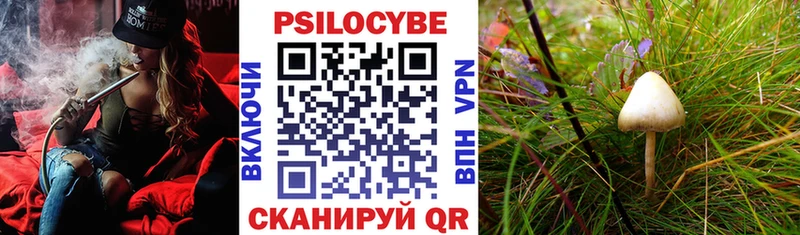 где купить   Луховицы  omg как зайти  Галлюциногенные грибы прущие грибы 